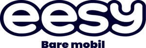 eesy logo